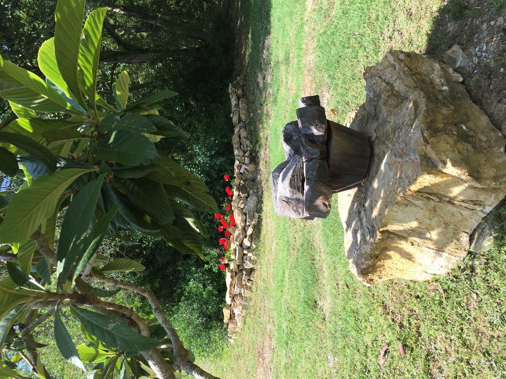 Campo Di Carlo Guest House Sassetta Ngoại thất bức ảnh