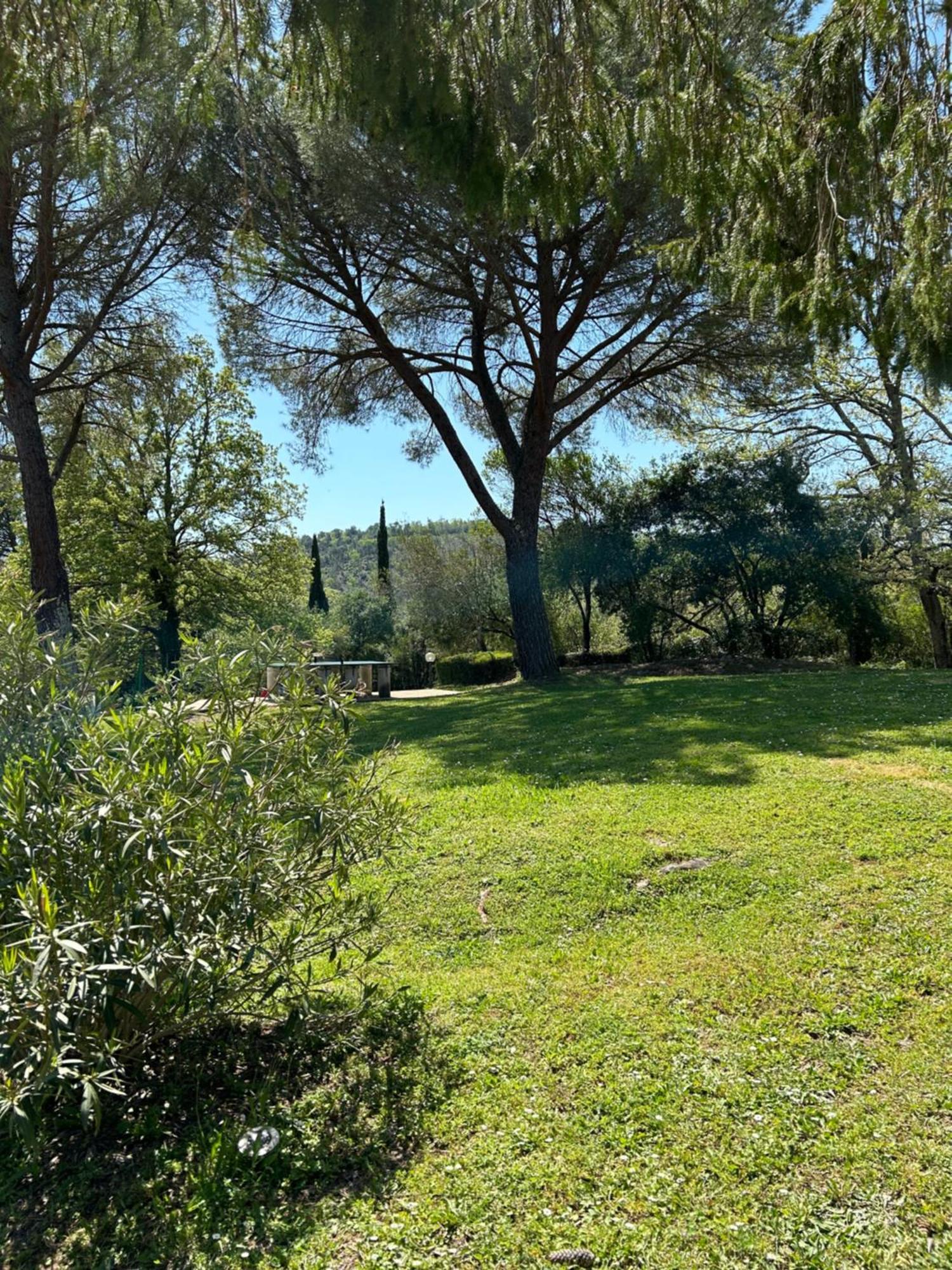 Campo Di Carlo Guest House Sassetta Ngoại thất bức ảnh