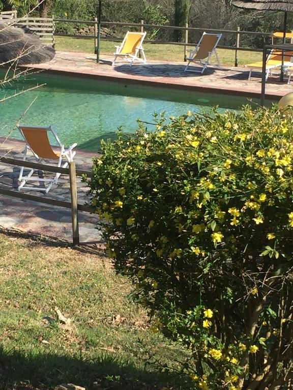 Campo Di Carlo Guest House Sassetta Ngoại thất bức ảnh